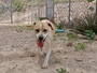 ALHENA Imagen 1